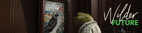 Wind in the willows character Toad looking at puffin picture
