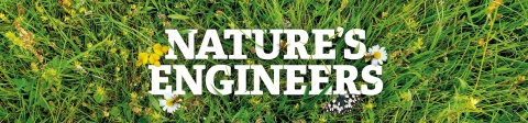 Nature's Engineers