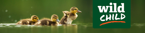Wild Child - Ducklings