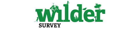 WSA Wilder Survey header