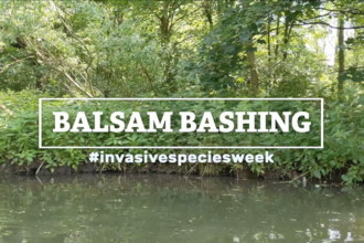 Balsam Bashing Video Front Slate