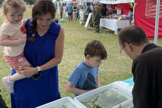 Family pond dipping at the Herts and Middlesex gazebo at Wildfest