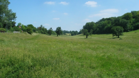 Long Deans Nature Reserve