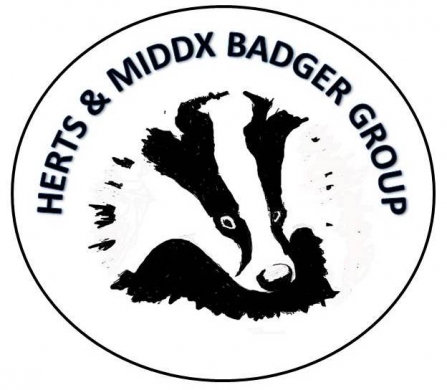 HMBG Herts and Middlesex Badger Group Logo