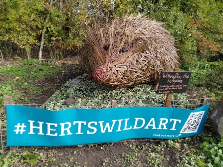 Giant Hedgehog made from woven willow