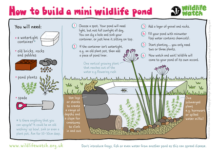 Illustrated instructions of how to build a mini wildlife pond