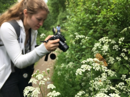 Lady pointing a black DSLR camera at a Marsh Fritillary butterfly (A brightly coloured butterfly, with a mosaic of orange, yellow, and brown markings on the upper surface of both the forewings and hindwings, which form distinct rows of the same colour. There is a prominent row of small black spots towards the outer edge of each hindwing.) that is sitting on a clump of white Cow Parsley flowers in a verdant green hedgerow