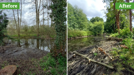 2 photographs side by side with labels before and after. On the before side the river is straight, there are a few trees on the bank but the banks are relatively bare of vegetation. On the after side one bank is supported by a wall of sticks laid flat and on each side of the river is full of lush green vegetation.
