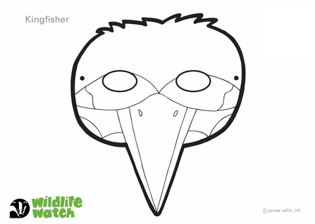 Outline of a Kingfisher's head beak on to colour in and cut out to make a mask.
