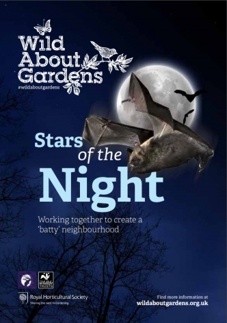Booklet cover featuring flying bats, a night sky and the moon