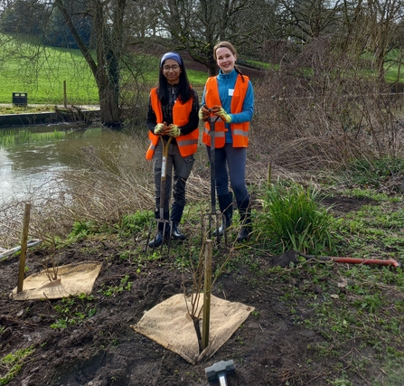 Two teenagers in orange high vis jackets planting tree saplings on the banks of the river Colne