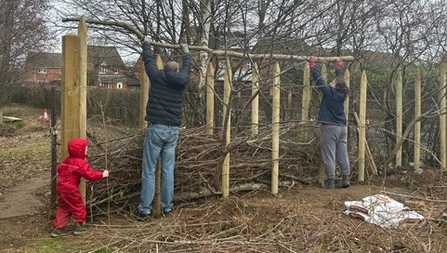Two adults are lifting fallen tree branches into a wooden frame to form a hedge