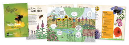 Example image of our Wild About Gardens Wild Bee Action Pack