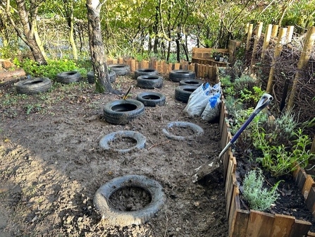 Sensory garden in progress - to the right are raised beds that have just been planted and to the left the ground is being dug up and having tyres placed in it.