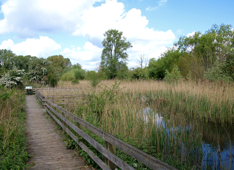 Purwell Ninesprings Nature Reserve