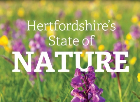 Hertfordshire's State of Nature cover