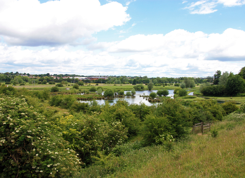 King's Meads Nature Reserve