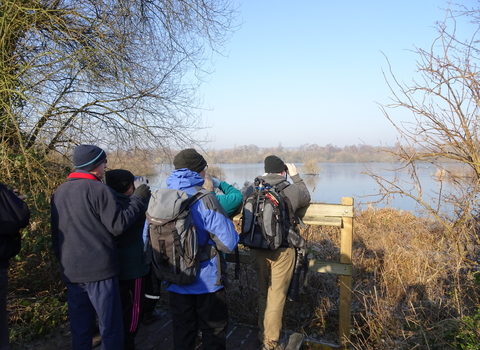 A group of people wearing hats and rain coats gathered at a view point in a gap between trees on a clear winter day. They are looking out over a large flat lake fringed with bare deciduous trees to spot birds. 