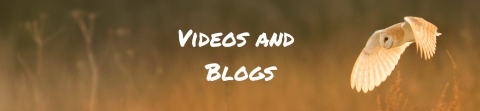 Wild At Home - Videos and blogs