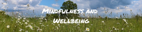 Wild At Home - Mindfulness