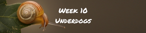 Wild At Home - Underdogs
