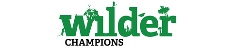 WSA Wilder Champions header