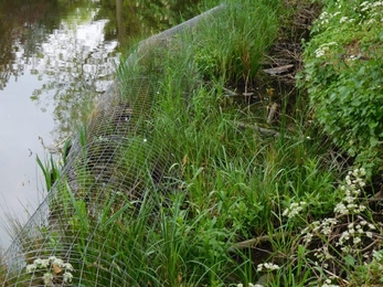 River bank of the Lea after restoration