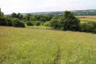 Aldbury Nowers Nature Reserve 