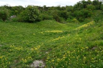 Ashwell Quarry and Quarry Springs