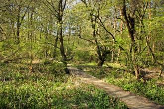 Danemead Nature Reserve 