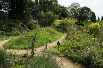 Grebe House Wildlife Garden