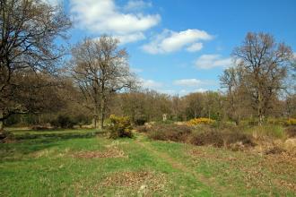 Hertfordshire Heath 