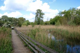 Purwell Ninesprings Nature Reserve