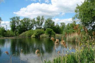 Rye Meads Nature Reserve 