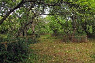 Tewin Orchard