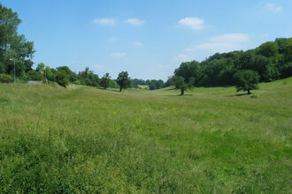 Long Deans Nature Reserve 