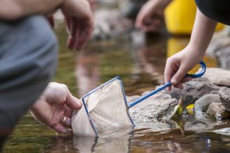 River Dipping