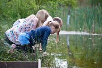 Pond watching 
