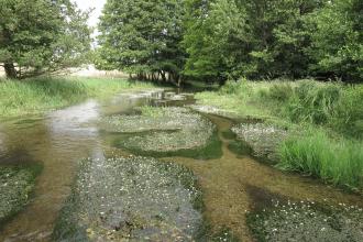 Tewinbury Nature Reserve