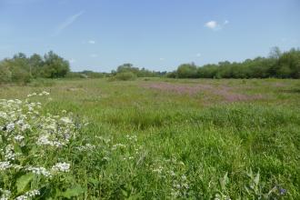 Thorley Wash Nature Reserve