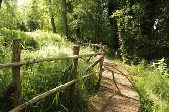 Willowmead Nature Reserve 