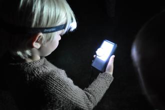 Bat detecting