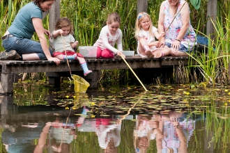 Pond dipping
