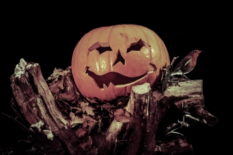 Halloween Pumpkin