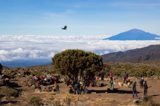 Trek Kilimanjaro