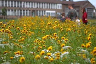 People walking through wildflower field