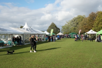 Apple Day 2019