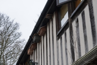 New swift boxes at Grebe House