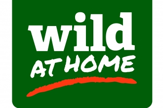 Wild At Home