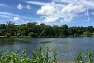 Panshanger Park
